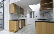 Wood Green kitchen extension leads
